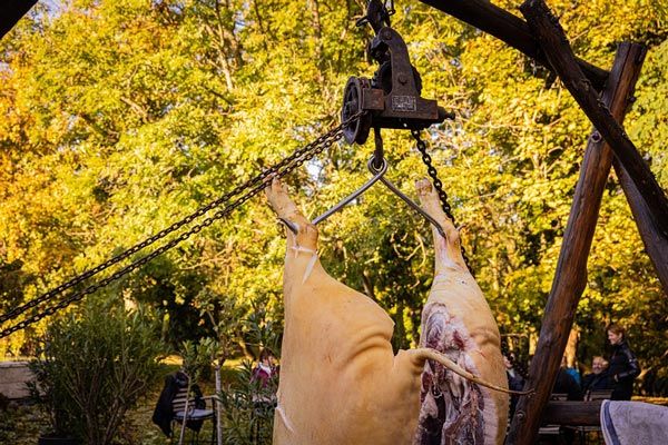 falusi disznóvágás