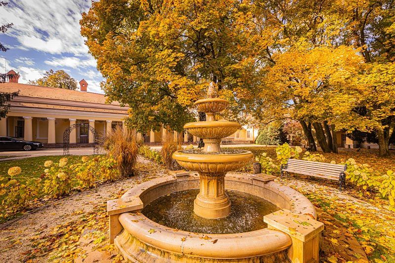 wellness disznóvágás céges programként