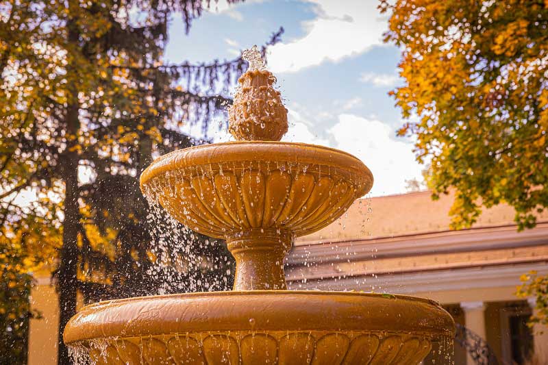 Wellness disznóvágás csomagok